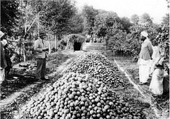 1933, Just the Beginning